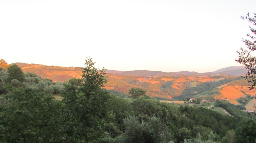Agriturismo Dea Valfabbrica Ngoại thất bức ảnh